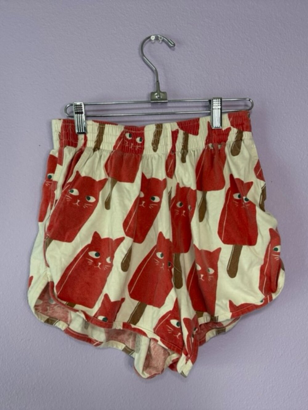 Catsicles shorts
